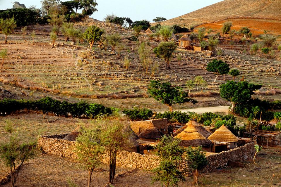 Quando richiedere un visto elettronico per il Camerun?