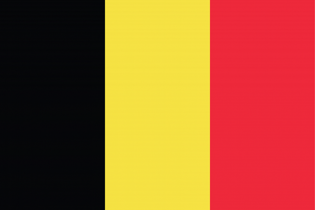 What are the representations of Cameroon in Belgium?