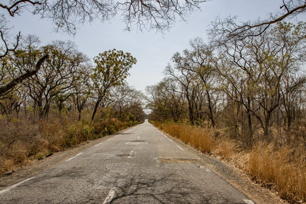 una strada vuota circondata da alberi ed erba secca